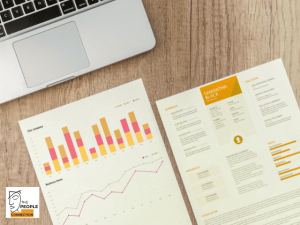 finance resume